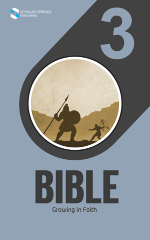 Grade 3 Bible