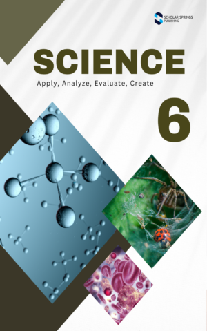 Grade 6 Science